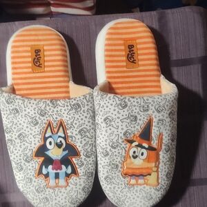 Adult Bluey And Bingo Character Slip-On One-Piece Slippers